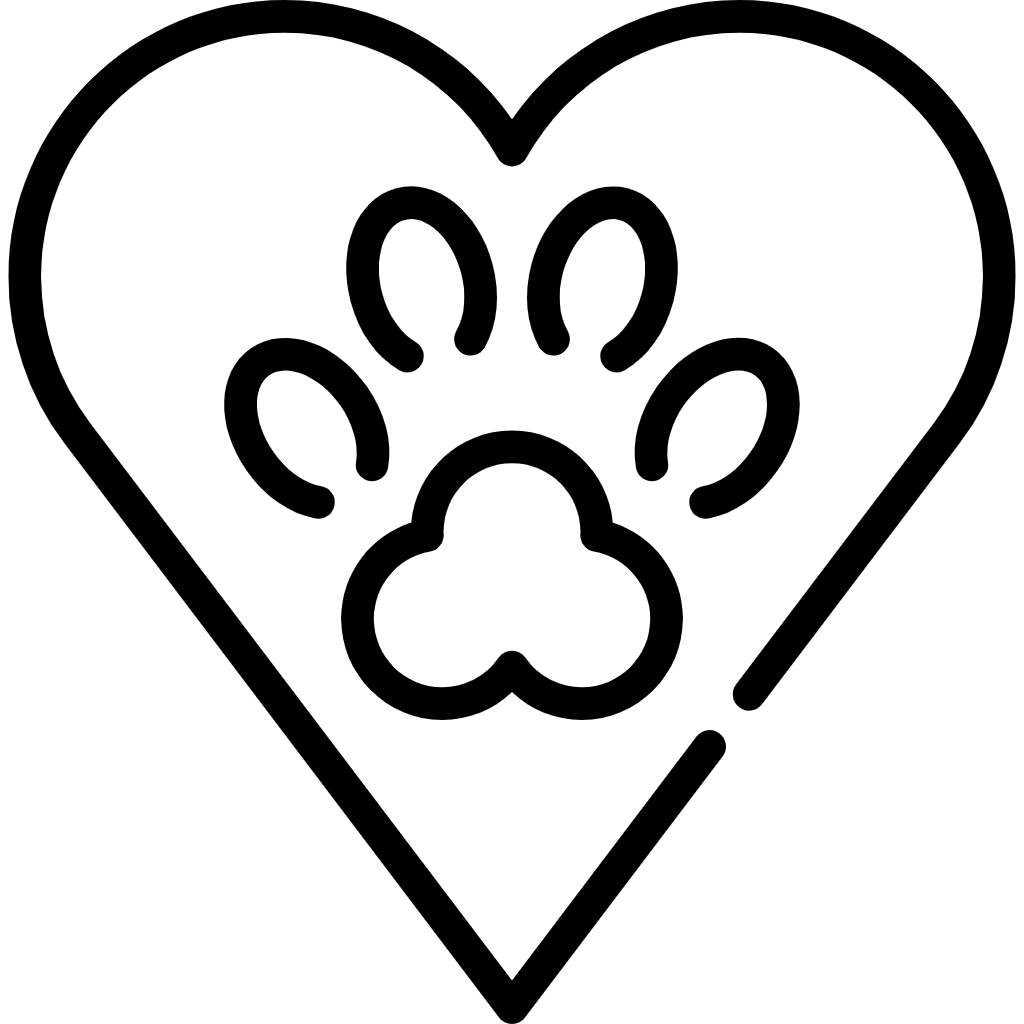 about Image